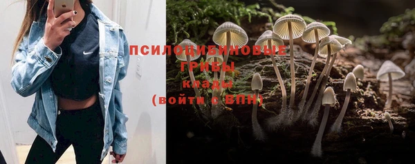 кристаллы Алексин