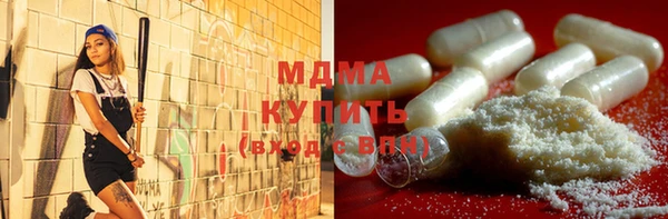 шишки Няндома