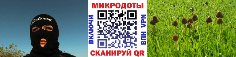 купить наркотики сайты  Арзамас  Псилоцибиновые грибы Cubensis 