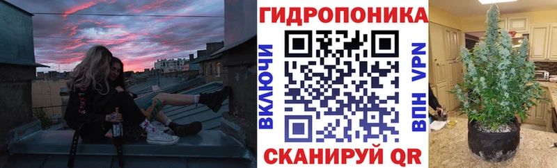 ссылка на мегу вход  Арзамас  Шишки марихуана гибрид 